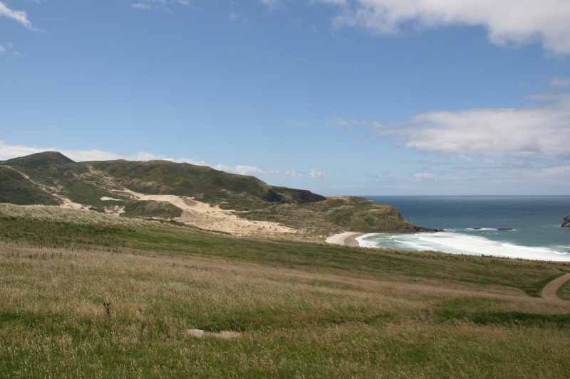 Nieuw-Zeeland 2011 - 1941